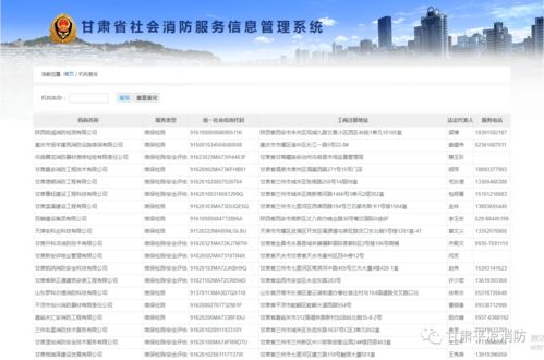 平?jīng)鱿?學(xué)黨史辦實(shí)事，手把手教你查詢消防技術(shù)服務(wù)機(jī)構(gòu)